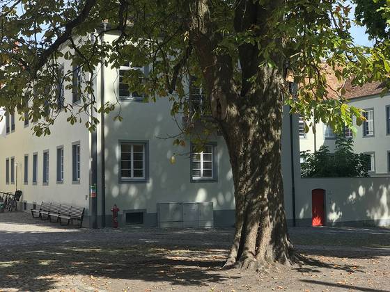Quelle: Iris Hohäuser